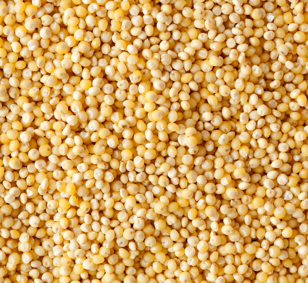 Bio Hirse gesch&auml;lt ungesch&auml;lt