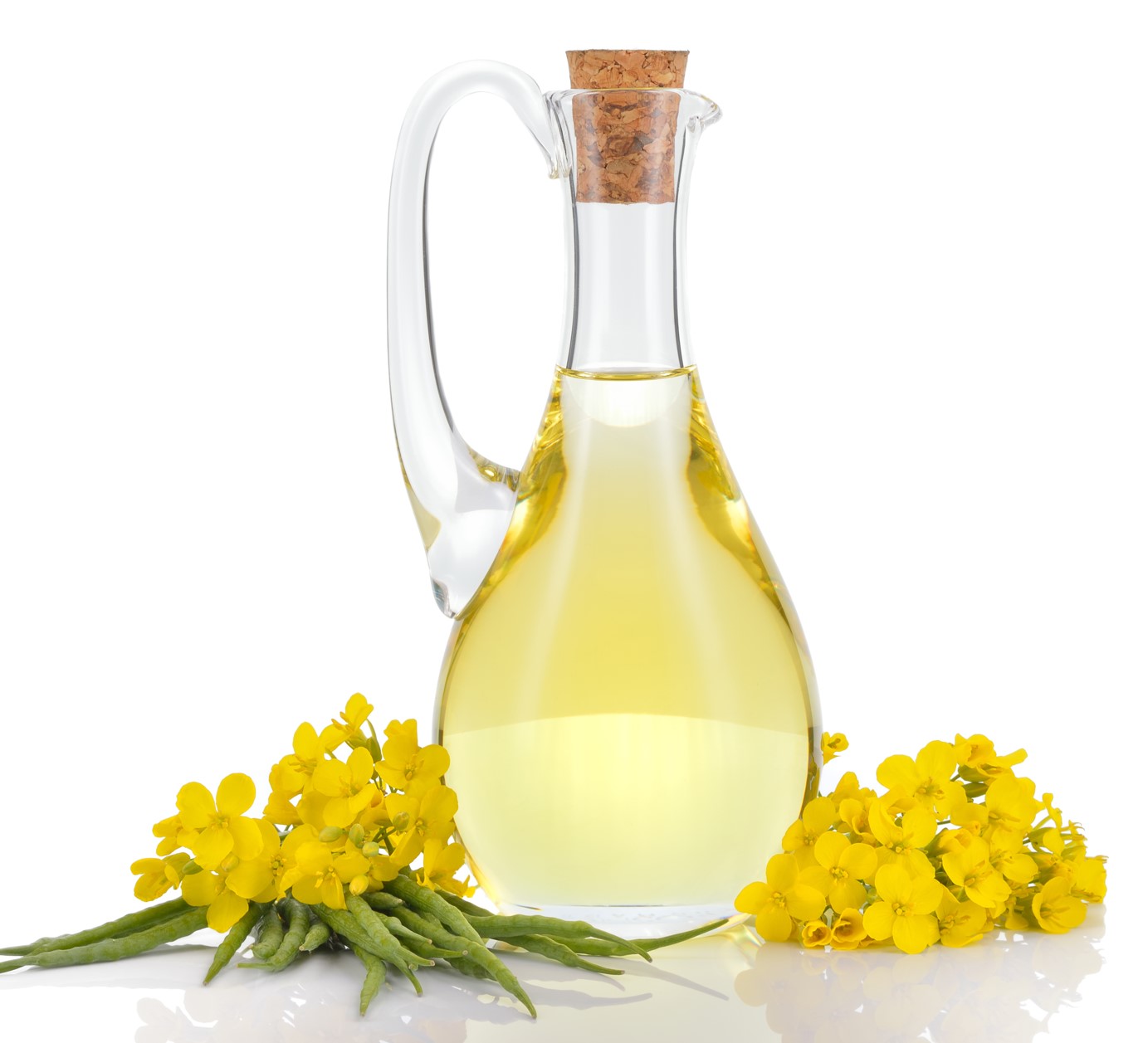 Bio Raps&ouml;l roh/raffiniert