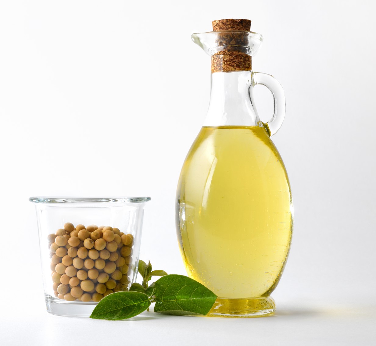 Bio Soja&ouml;l roh/raffiniert