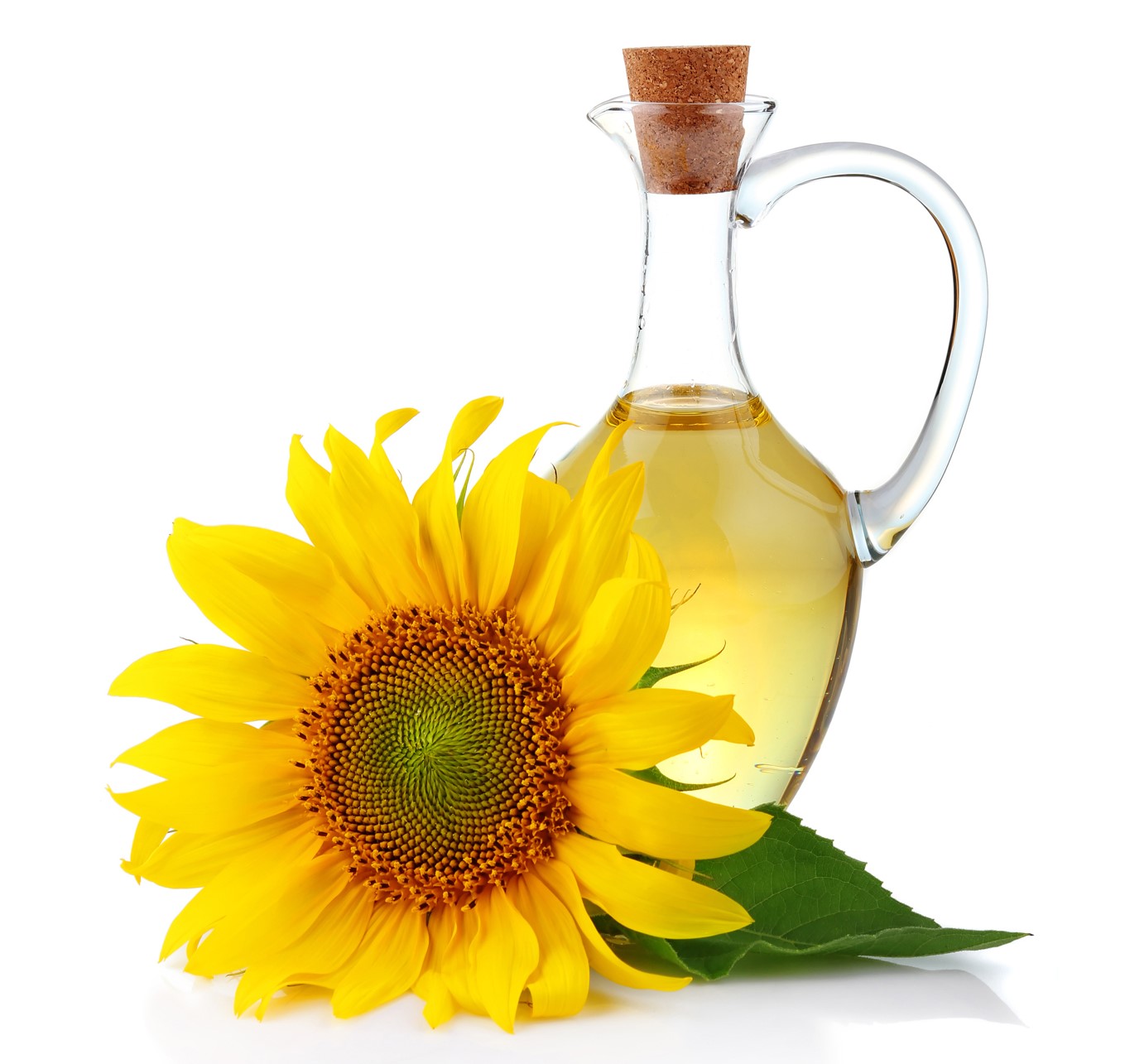 Bio Sonnenblumen&ouml;l roh/raffiniert